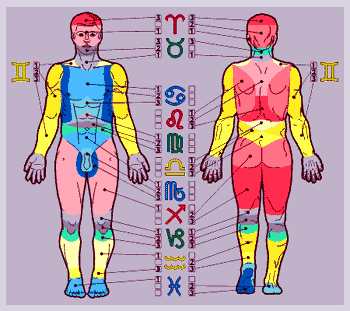 Связь Знака Зодиака с телом человека