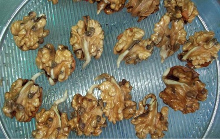 Уникальный рецепт молодости: полное обновление организма проростками грецкого ореха