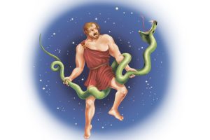 гороскоп для Змееносца на 2017 год Петуха