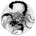 скорпион гороскоп на 2017 год