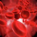 О группе крови. Что содержит в себе каждая группа крови?