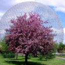 Шар «Биосфера» в одном из парков Монреаля