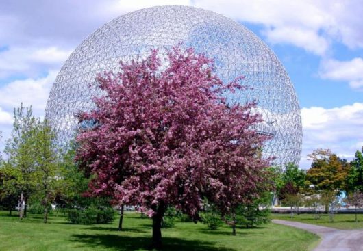 Шар «Биосфера» в одном из парков Монреаля