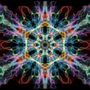 Ваша Духовная Иммунная Система